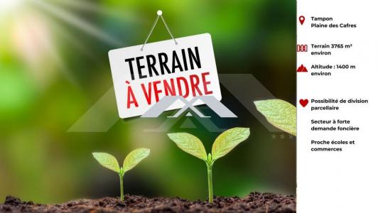 Vente Terrain PLAINE-DES-CAFRES 97418