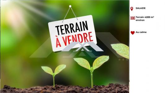 Vente Terrain SALAZIE 97433