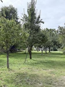 Vente Terrain PLOERMEL 56800