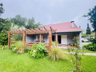 Vente Maison 6 pices PLAINE-DES-PALMISTES 97431