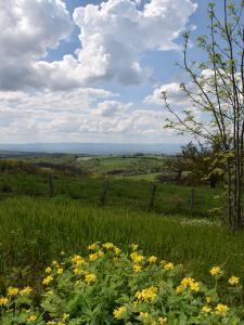 Vente Terrain SAINT-HEAND 42570
