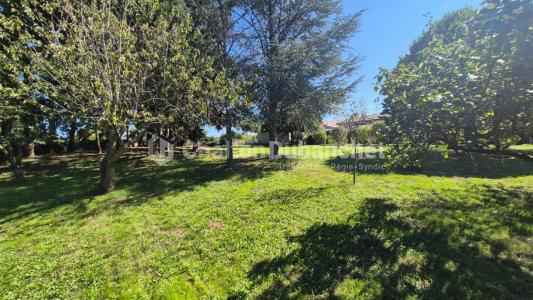 Vente Maison 7 pices COTTANCE 42360