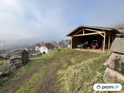 Vente Terrain GUEBWILLER 68500