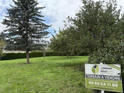 Vente Terrain POINCONNET 36330