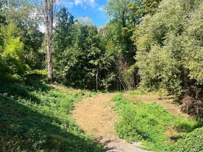 Vente Terrain CHAPONOST 69630