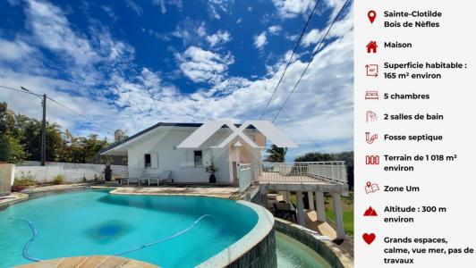 Vente Maison 9 pices SAINTE-CLOTILDE 97490