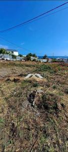 Vente Terrain TROIS-BASSINS 97426