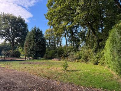 Vente Terrain AURAY 56400