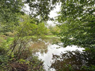 Vente Maison 3 pices SAINT-JORY-DE-CHALAIS 24800