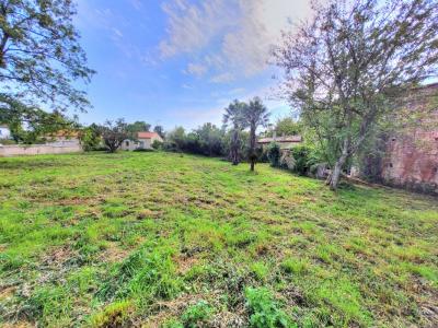 Vente Terrain SAINTE-OUENNE 79220
