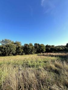 Vente Terrain SAINT-BENEZET 30350