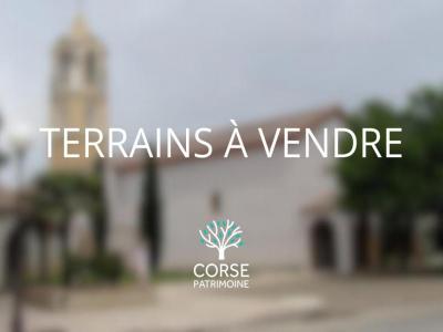 Vente Terrain GHISONACCIA 20240