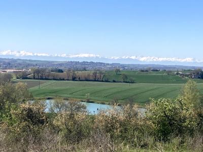 Vente Terrain BELLEGARDE-SAINTE-MARIE 31530