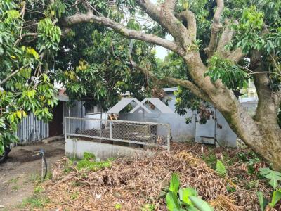 Vente Terrain SAINT-ANDRE 97440