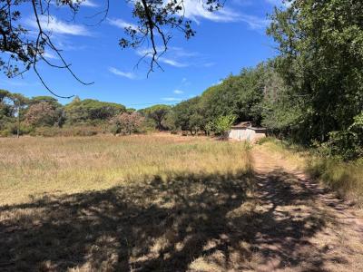 Vente Terrain MUY 83490