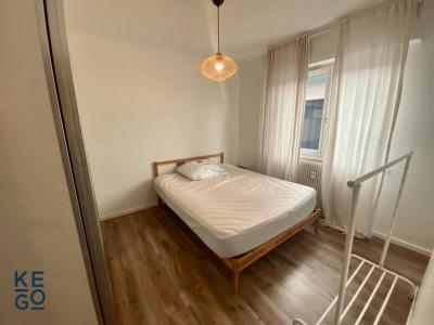 Location Appartement 2 pices SCHILTIGHEIM 67300