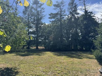Vente Terrain LANDAUL 56690