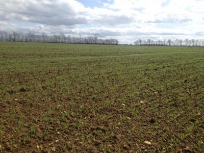 Vente Terrain SAINT-MARTIN-DE-FONTENAY 14320