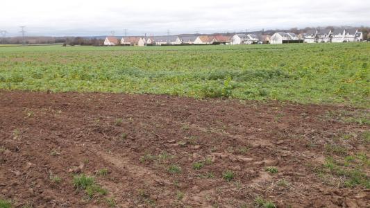 Vente Terrain AIRAN 14370