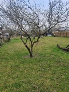 Vente Terrain BAUGE 49150