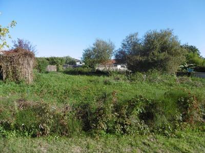 Vente Terrain LANGON 33210