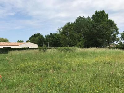 Vente Terrain ECHILLAIS 17620
