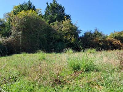 Vente Terrain LOUPIAC 33410