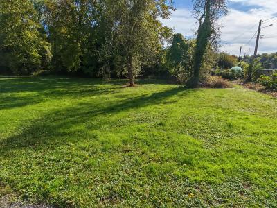 Vente Terrain LONGUEVILLE 77650