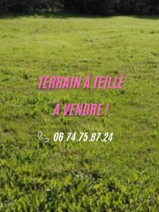 Vente Terrain TEILLE 44440