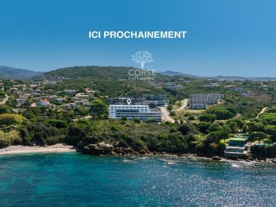 Vente Appartement 2 pices PORTICCIO 20166