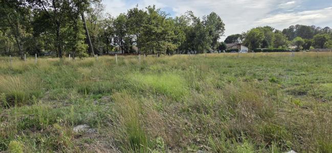 Vente Maison 4 pices PISSOS 40410