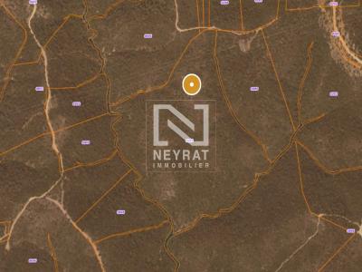 Vente Terrain CALLIAN 83440