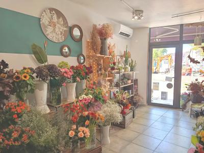 Vente Local commercial SAINT-CHINIAN 34360