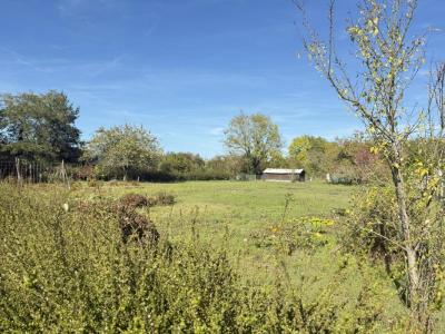 Vente Terrain FAY-AUX-LOGES 45450