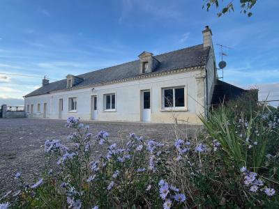 Vente Maison 4 pices CHAPELLE-SUR-LOIRE 37140