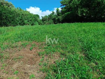 Vente Terrain MORNE-ROUGE 97260