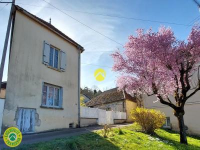 Vente Maison 5 pices RAVIERES 89390