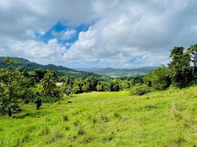 Vente Terrain VAUCLIN 97280