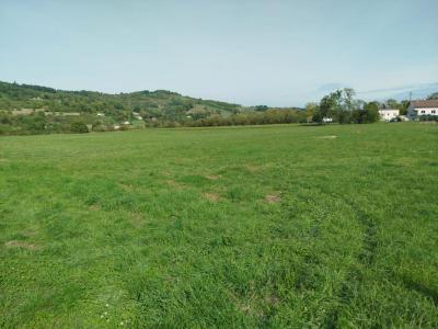 Vente Terrain SAINT-JEAN-EN-ROYANS 26190