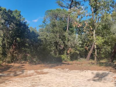 Vente Terrain SUZE-LA-ROUSSE 26790