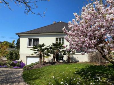 Vente Maison 7 pices WANTZENAU 67610