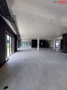 Vente Local commercial ABYMES 97139