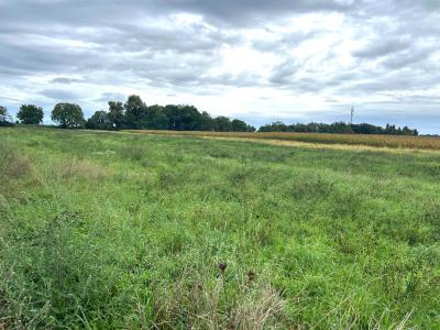 Vente Terrain MUNTZENHEIM 68320