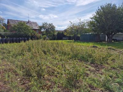 Vente Terrain LOUPE 28240