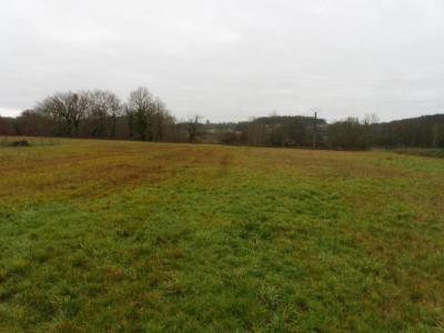 Vente Terrain MONTPEYROUX 24610