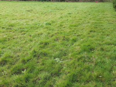 Vente Terrain DAMGAN 56750
