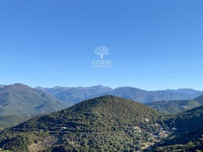 Vente Maison 7 pices SARTENE 20100