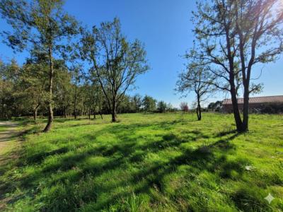 Vente Terrain LONGAGES 31410