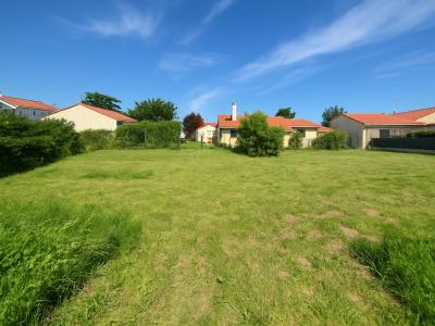 Vente Terrain FENOUILLET 31150