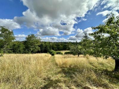 Vente Terrain VIGOULET-AUZIL 31320